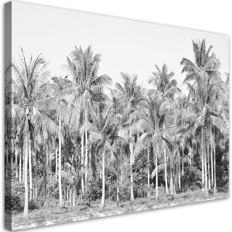 Quadro su tela, Palme in bianco e nero nella giungla - 100x70 (1/4)