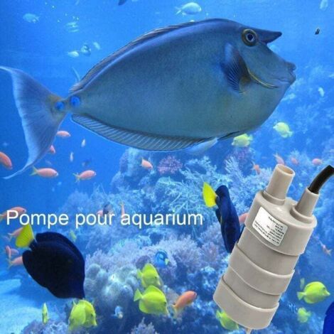 NALOOKAMIC Submersible Pompe à Eau, Pompe immergée 12v,600L / H mini pompe a eau electrique pompe puit,pour camping-car, étang, aquarium, fontaine daquarium (1/3)