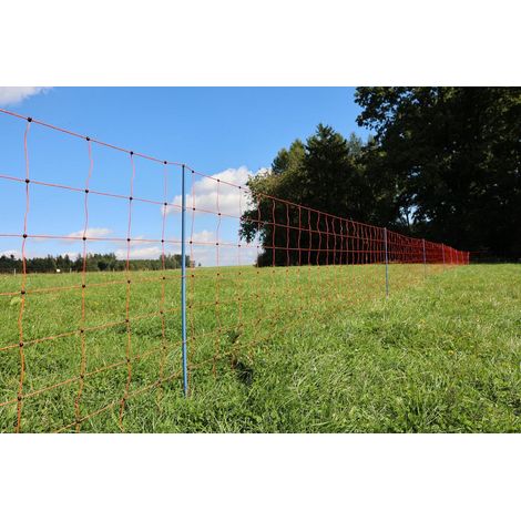OviNet Premium, 50m, orange, 90cm, Doppelspitze