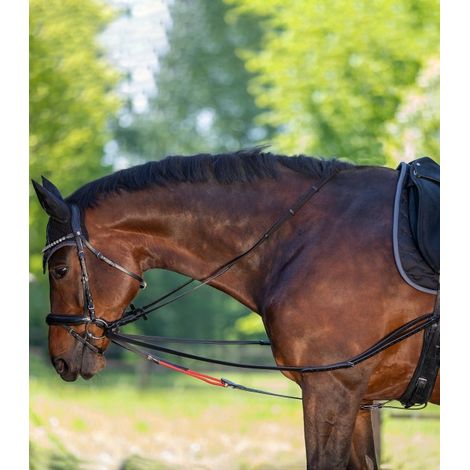 Rênes Waldhausen w-trainrein cuir flexible système poulie (1/2)