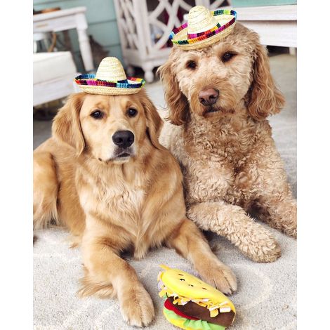 Chapeau de paille, chapeau mexicain, chapeau pour chien et chat - Article en vente sur eBay