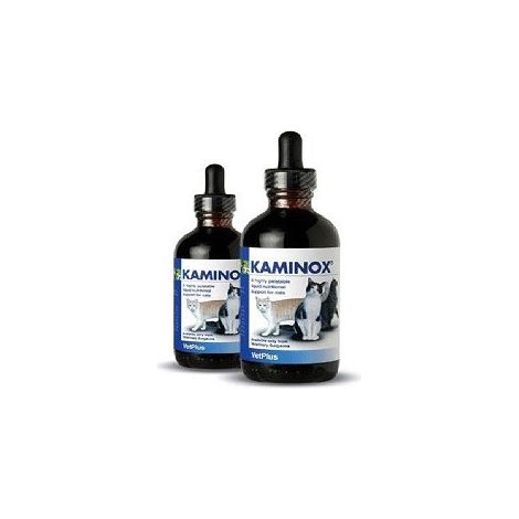 Kaminox Food -Komplement fЩr Katzen, um Nierenfunktion 60 ml zu unterstЩtzen