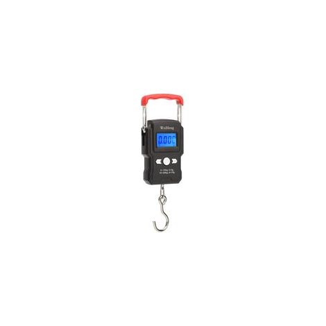 Balance à crochet suspendue 50 kg / 5 g, double précision, écran LCD rétroéclairé – (1/5)