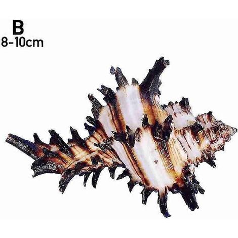 Ornement d'aquarium/maison en forme de mille pommes de pin noires naturelles, motif licorne et escargot H3R7