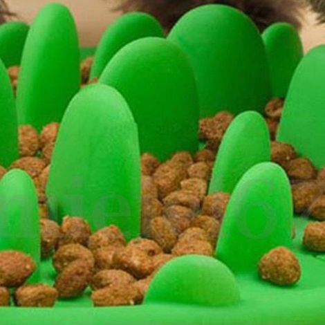 Gamelle en silicone pour chiot, ralentit l'alimentation et prévient l'obésité. (1/5)