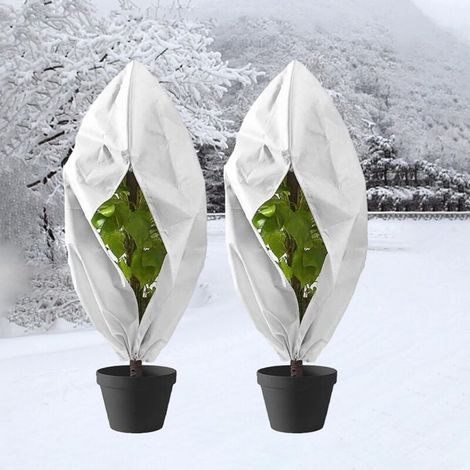 Voile Hivernage Plante Exterieur, 2 Pièces Voile d'Hivernage Housses de Protection pour Plantes avec Cordon de Serrage et Zipper, Housse d’Hivernage Plante Réutilisable (80x100cm) (1/4)