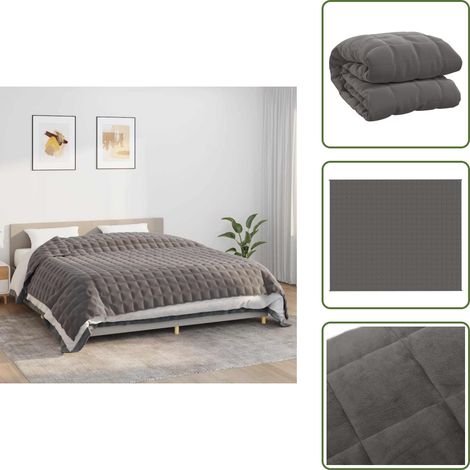 Couverture lestée Gris 220x260 cm 11 kg Tissu - Couverture Lestée - Couverture Poids - Literie Relaxante - Sommeil Profond - Réduction Stress (1/5)