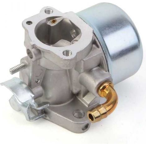Carburateur pour moteur Briggs & Stratton 798653 (1/5)