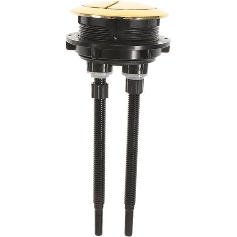 Bouton de Chasse D'eau Double pour Réservoir de Toilettes (1/5)