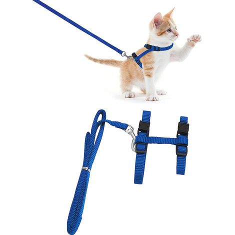 Harnais pour chat, harnais avec laisse, anti-fugue, laisse réglable avec harnais pour chats, laisse en nylon, harnais pour petits chats, lapins et chiens (1/5)