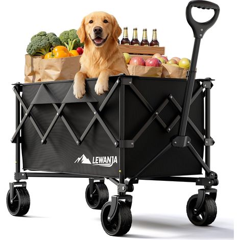 Chariot de Transport Pliable Robuste, Chariot de Jardin pour Camping, Plage, Festivals et Courses, Chariot à Bras avec Poignée Réglable - Capacité 140L et Charge 130kg. (1/5)