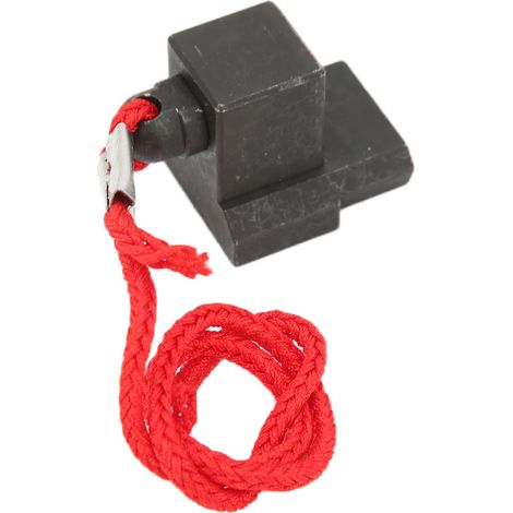 Volant Moteur Support Noir Oxyde 118660 Remplacement N20 N26 N55 Outil de Calage (1/5)