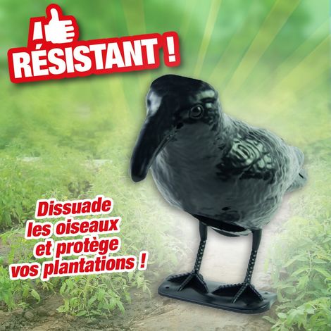 corbeau effaroucher (1/2)