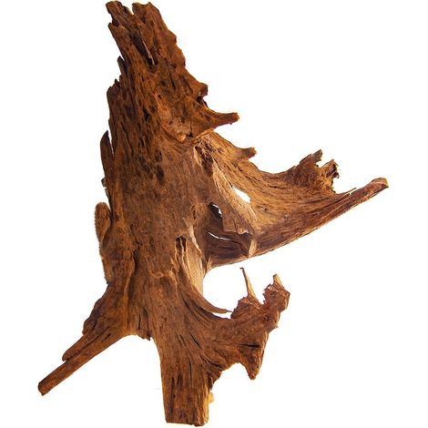 Albero di mangrovia per decorazione di radici di acquario, XL 40-50 cm (1/5)
