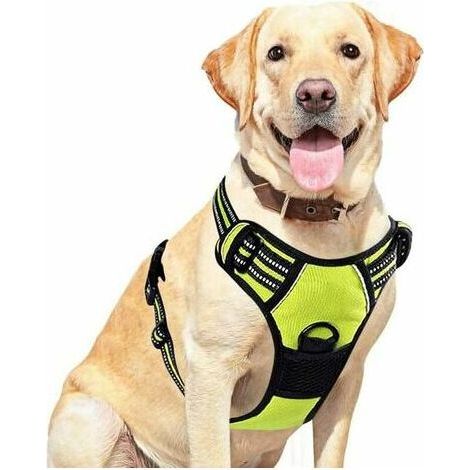 Breathable and easy-to-wear no-pull dog harness with reflective strip. Adjustable size (Green, XXL) (1/4)