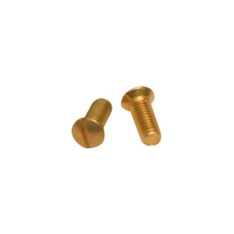 VITE OTTONE P/COPRINTERRUTTORE CF 10 PZ