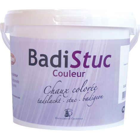 Badistuc blanc teintable pour badigeons – Enduit de façade 5 kg – Application facile sur surfaces lisses – Résistance à l'humidité