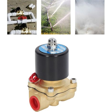 Électrovanne à deux voies et deux positions en laiton, élément de commande 1/2 pouce 2W160-15/AC220V, normalement fermée (1/5)