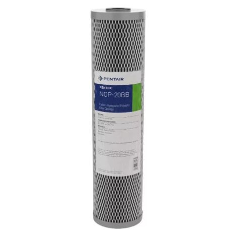Filtre à Eau Pentair NCP-20BB