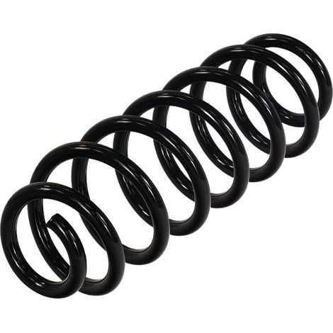 Suspension arrière à ressort rapide FT02025 (1/4)