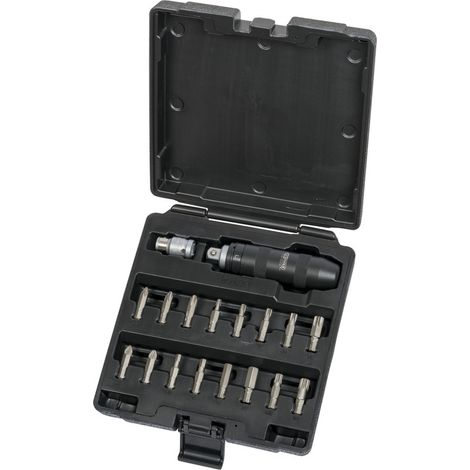 KS Tools - Coffret de tournevis à frapper avec embouts, 18 pièces - 515.2000 (1/4)
