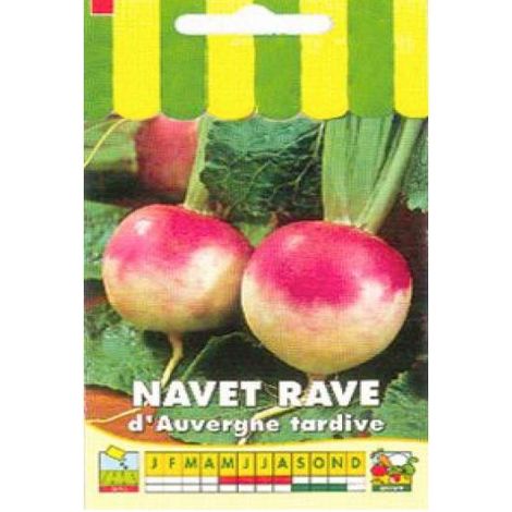 Navet rave 'd'Auvergne tardif' le sachet de 2000 graines (5g)