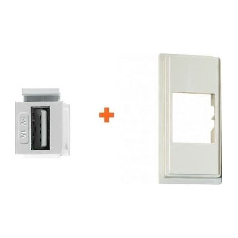 Intellinet caricatore presa USB 5V 1A frutto compatibile Bticino Now sabbia