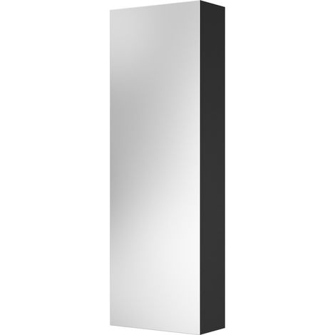 Caston Colore Matt Black 300mm x 900mm Stainless Steel Mirrored Tall Cabinet (1/5)