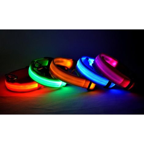 FUBUCA Collier réglable LED pour chiens avec charge solaire et usb 3 tailles  Couleur: Vert - Taille: L