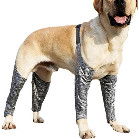 Hundestiefel-Leggings, Hundebein-Leckmanschette Weiche schützende Anti-Schmutz-weiche schützende Ellbogenstützen, verstellbare Hundehose gegen Lecken, Ärmel an Vorder- und Hinte (1/5)