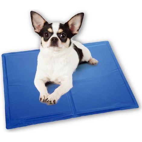 Tapis rafraîchissant pour chien taille S, 40x30 cm, coussin auto-refroidissant pour animaux