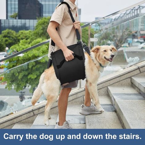 Imbracatura per il trasporto di cani, supporto di emergenza per le zampe degli animali domestici e zaino per la riabilitazione (M, nero) (1/4)