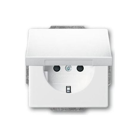 Busch-Jaeger 20 EUK-84 SCHUKO® Steckdosen-Einsatz mit Klappdeckel (1/5)
