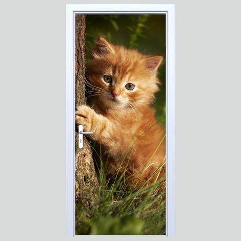 Adhesivo de tela para puerta con gatito jengibre 180PD