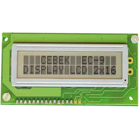 EC9 LCD personalizzato 12V