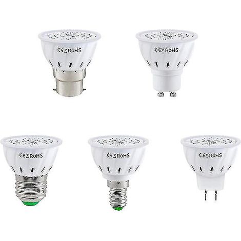Ampoule LED de croissance pour plantes d'intérieur - Lampe à spectre complet pour la décoration de jardin (1/5)
