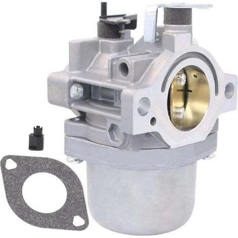 Carburateur pour moteurs Briggs & Stratton 799728, 498027, 498231 et 499161 (1/4)