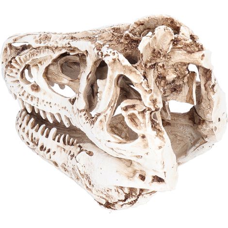 Crâne de dinosaure en résine - Décoration de Noël pour bars et boîtes de nuit (1/5)