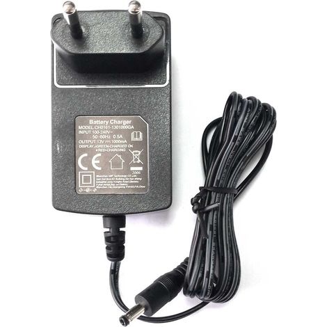 Chargeur de Batterie pour pulvérisateur PRO SPRAYER EVO PHOENIX (1/2)