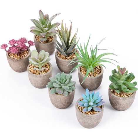 Succulentes Artificielles,8pcs, Interieur, Petite Fausses Plantes (1/5)