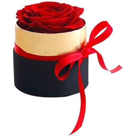Coffret Cadeau - Fleur Éternelle - Mini Bouquet de Roses Séchées - Rouge - 6x7cm - Boîte-Cadeau (1/4)