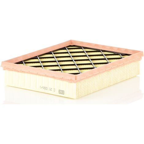 Filtro de aire C25008/1 Mann