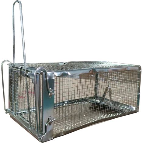 Piege a Souris Vivante，Cage PièGe à Rat pour IntéRieur et ExtéRieur，Nasse a Rat，Respectueux des Animaux HygiéNique, Durable, Facile à Utiliser, pour Maison et Jardin (1Pack) (1/5)