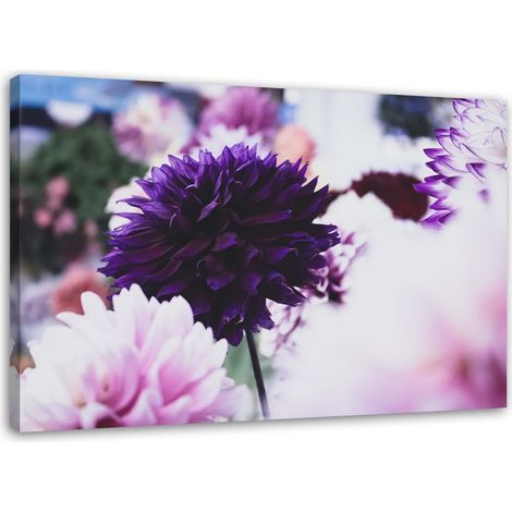 Tableau sur toile Dahlia fleurs nature 60x40 (1/5)