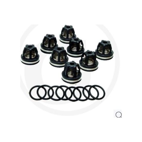 O-Ring-Ventilsatz 670620030 für Membranpumpe AR 1064 AP C/C ANNOVI 6701964