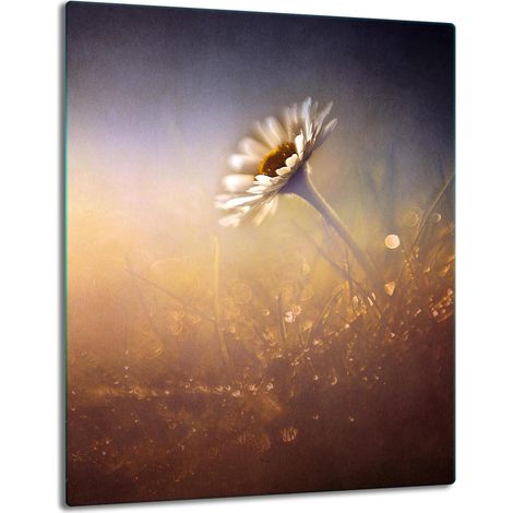 PIASTRA DI PROTEZIONE IN VETRO PER INDUZIONE 40x52 FIORE (1/5)