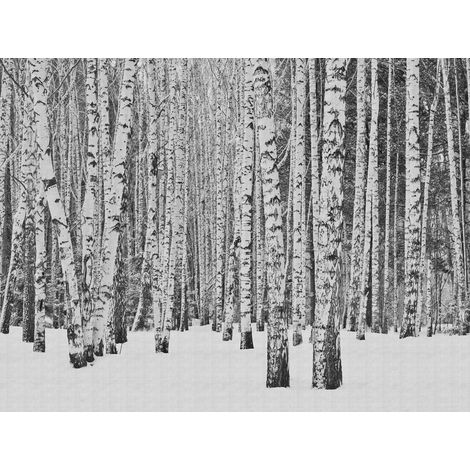 Panoramique, Fresque Nature Noir et Blanc The Wall A.S. Création (1/3)