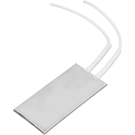 Élément Chauffant PTC 100x50mm 120W 220V, Plaque Thermostatique Inox pour Ventilateur Auto (1/5)