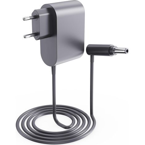 Chargeur 30,45 V Convient pour Dyson V10 V11 V12 V15 SV12 SV14 SV16 SV20 SV22 Remplacement Alimentation pour Chargeur (1/5)