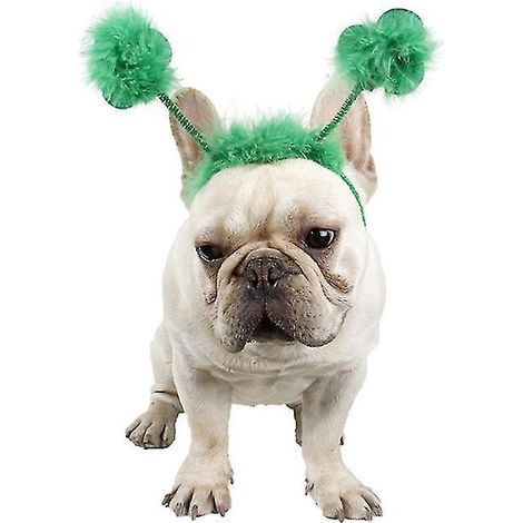 1 coiffe pour chiot (1/3)